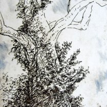"Great Tree," etching © Bruce Waldman