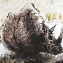 "Rhino in Tall Grass," monotype © Bruce Waldman