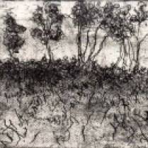 "Hill with Trees," etching © Bruce Waldman